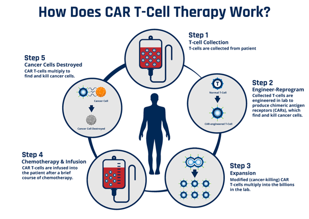 cart-cell graphic