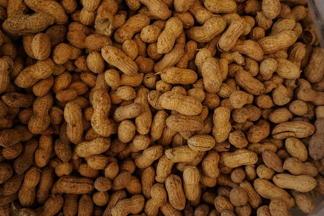 ENT & Allergy of Georgia