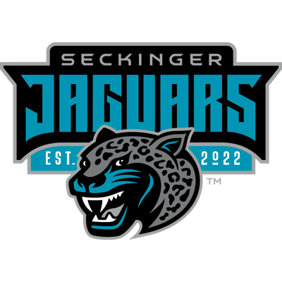 Seckinger High School